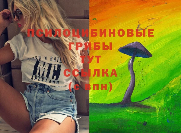2c-b Белоозёрский