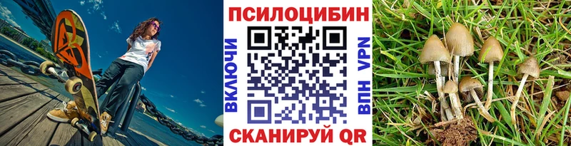 Купить закладки  Десногорск  Галлюциногенные грибы GOLDEN TEACHER 